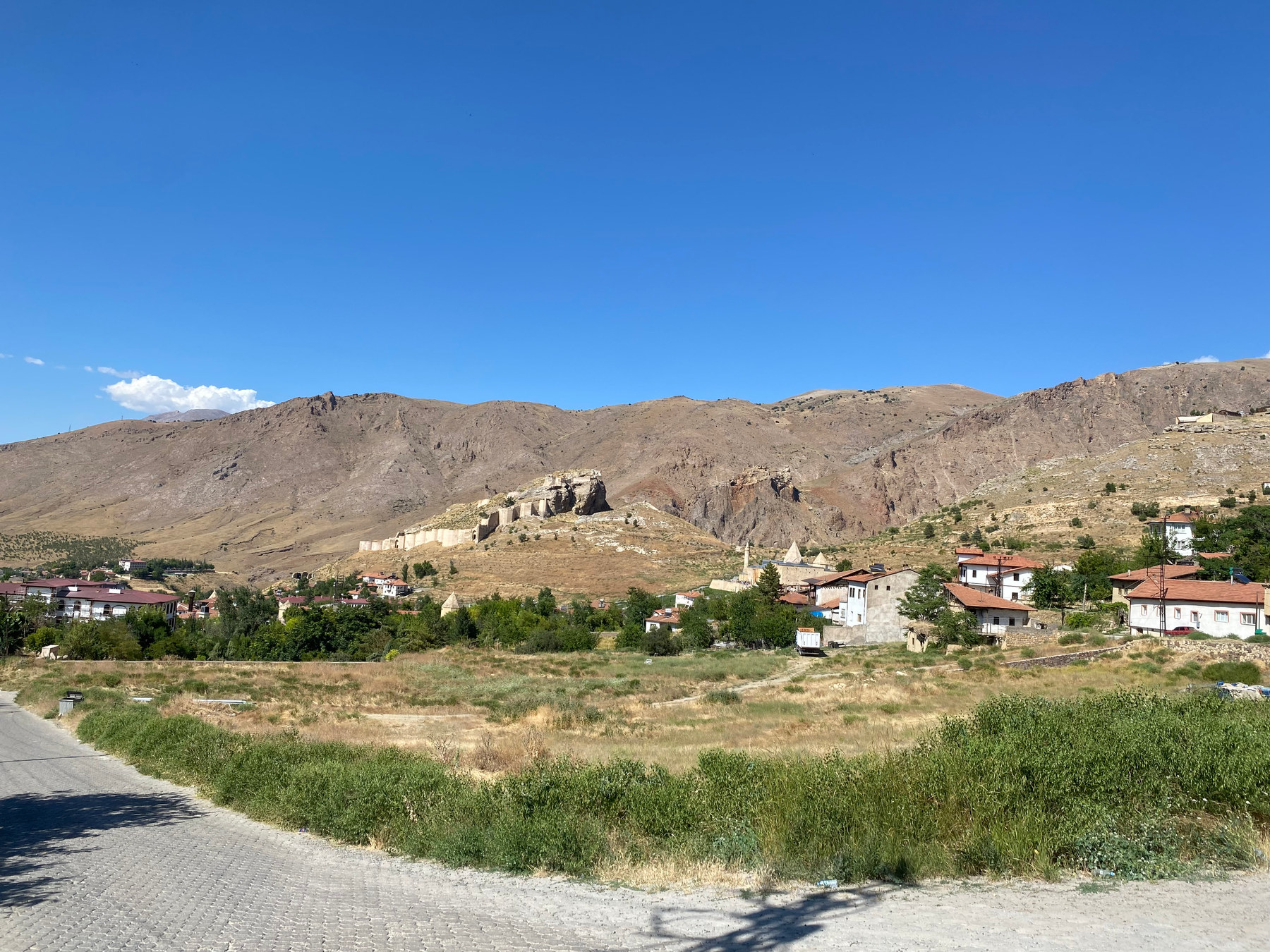 Divriği seen from the roadside: greenery in front, the town's houses, the castle walls on the hillside and mountains behind